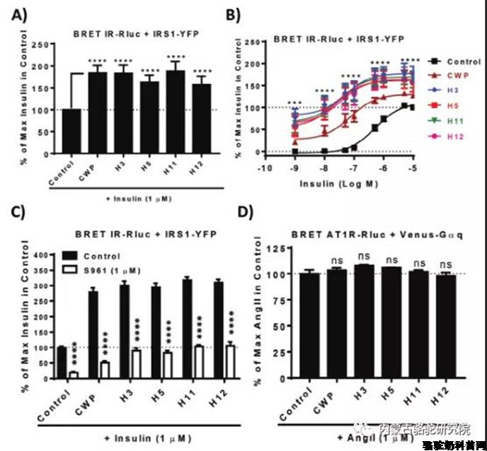 驼乳中生物活性肽DPP-IV和胰岛素受体抗活性 关于糖尿病特性的分析